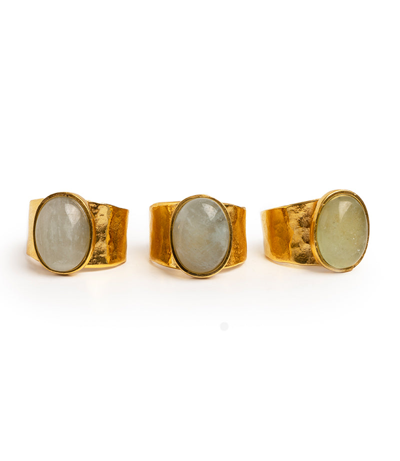 Anillo AquaMod